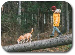 Be familiar with your surroundings and always in control of the moment if you want to properly walk your dog in the woods or anyplace outsidei