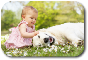Take extra steps to keep your newborn baby and your family dog safe while together