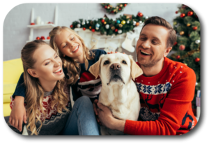 Keep your dog safe with Holiday house guests