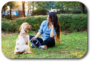 In-Home Dog Training or Board and Train